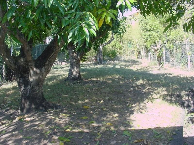 16 Lodge Street, Toowong QLD 4066