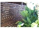 31 Lutana Avenue, Miami QLD 4220