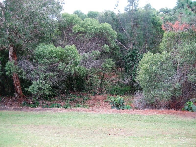 35 Beachcomber Court, Burleigh Waters QLD 4220