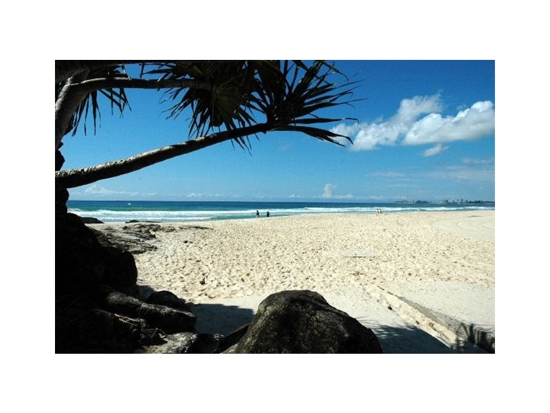 1/6 Tomewin Street, Currumbin QLD 4223