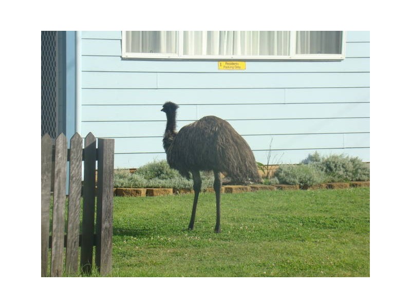 62 Main Street, Wooli NSW 2462