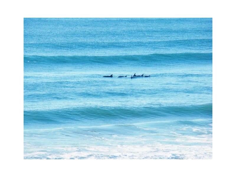 62 Main Street, Wooli NSW 2462