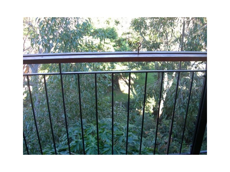 14 Woodgee Street, Currumbin QLD 4223