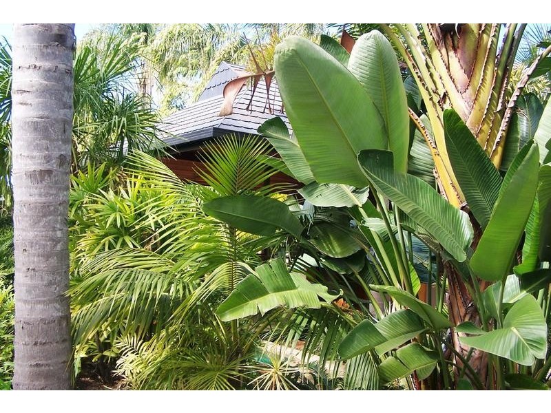 14 Haslewood Court, Mermaid Waters QLD 4218