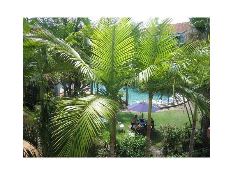 139/7 Redondo Avenue, Miami QLD 4220