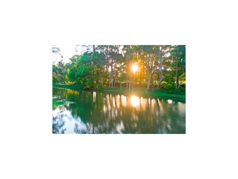 11 Benaroon Court, Tallebudgera QLD 4228