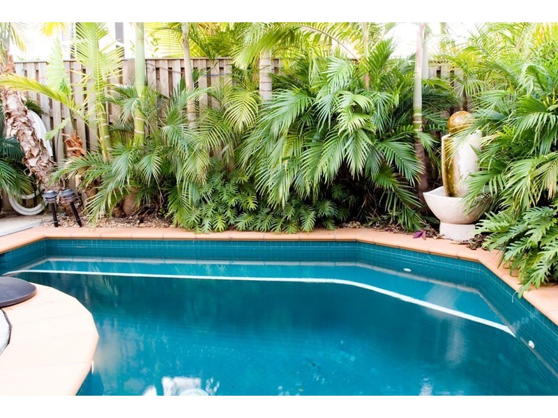 17 Magenta Drive, Varsity Lakes QLD 4227