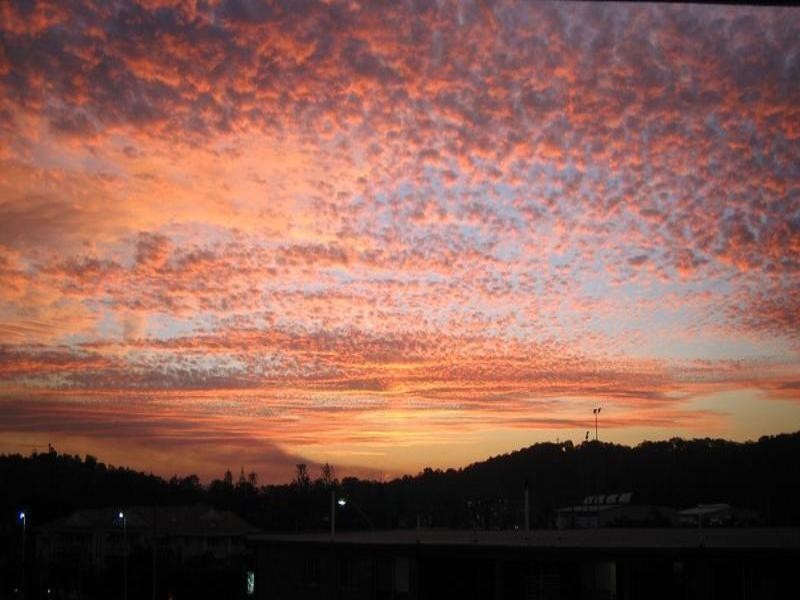 7/1495 Gold Coast Highway, Palm Beach QLD 4221