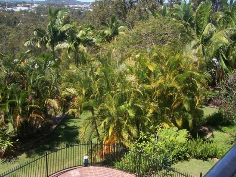 51 Bridgeman Drive, Reedy Creek QLD 4227