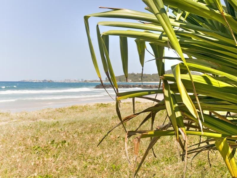 227 Jefferson Lane, Palm Beach QLD 4221