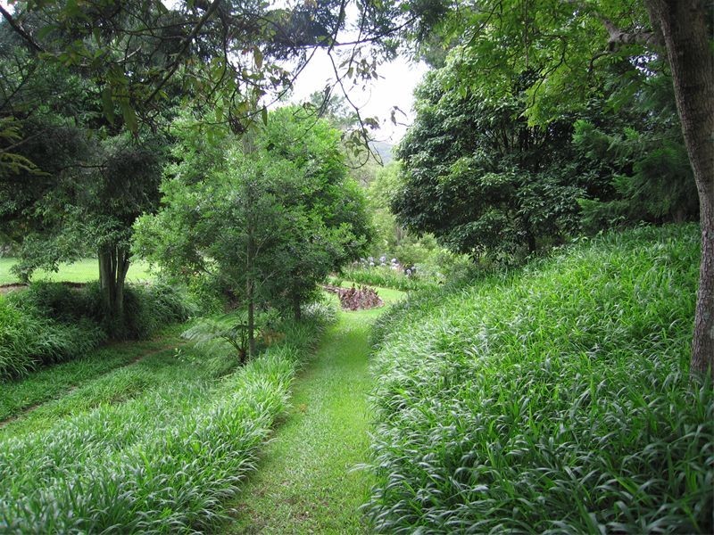 9 Gibsonville Street, Tallebudgera Valley QLD 4228