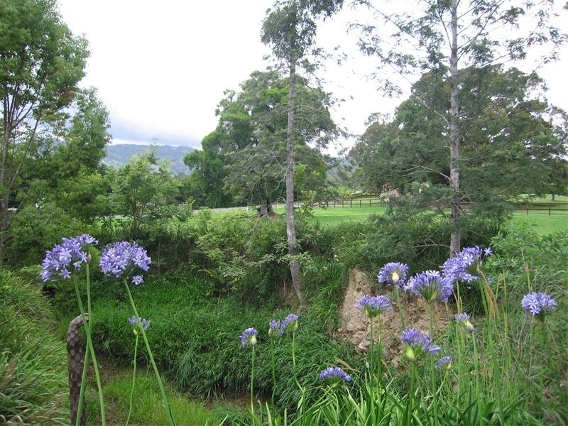 9 Gibsonville Street, Tallebudgera Valley QLD 4228