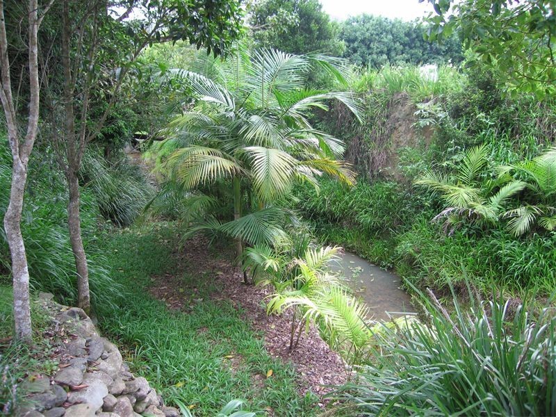 9 Gibsonville Street, Tallebudgera Valley QLD 4228