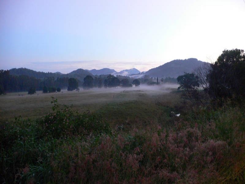 Tallebudgera Valley QLD 4228