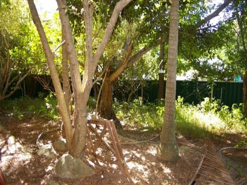 16 Ealing Street, Nerang QLD 4211