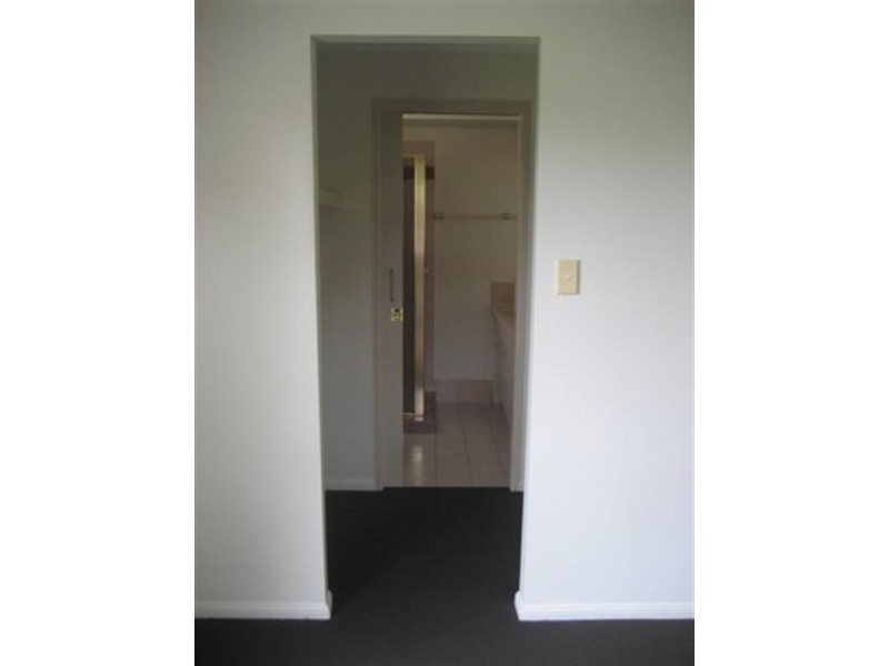 3 Carine Court, Nerang QLD 4211