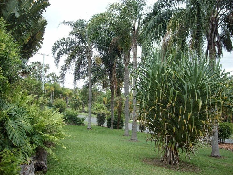 28 Wallaby Drive, Mudgeeraba QLD 4213
