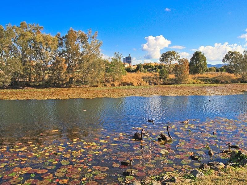 28 Peach Drive, Robina QLD 4226