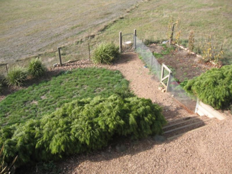 19 SIENA Way, Hidden Valley VIC 3756