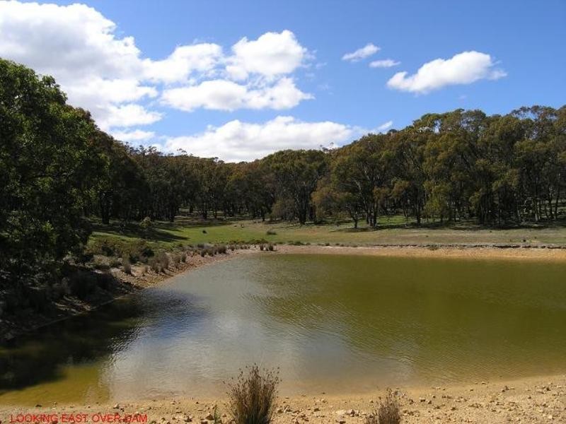 260 Wilsons Road, Lancefield VIC 3435