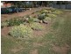 38 Hanson Road,, Wallan VIC 3756