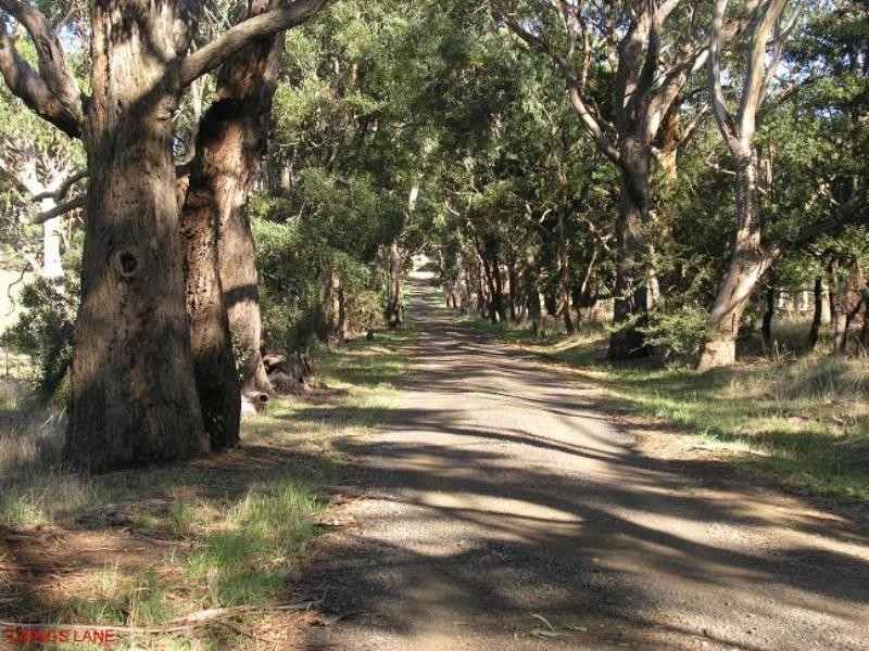 260 Wilsons Road, Kilmore VIC 3764