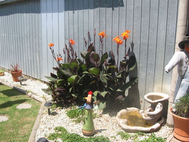 96 RAGLAN Street, Wallan VIC 3756