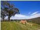 8 Mountain Ash, Hidden Valley VIC 3756