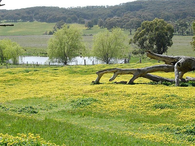 33 Laings Lane, Lancefield VIC 3435