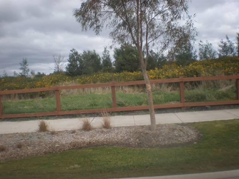 16 Lithgow Street, Beveridge VIC 3753