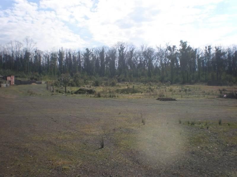 65 Doctors Creek Road, Clonbinane VIC 3658