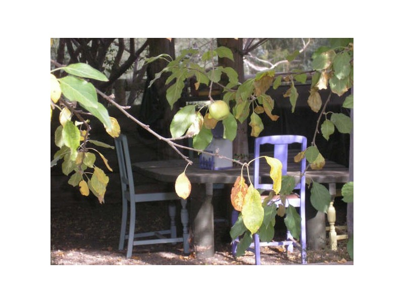 420 SUNDAY CREEK Road, Broadford VIC 3658