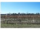 113 Harrison Road, Warwick QLD 4370
