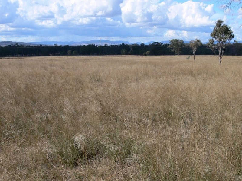 Warwick QLD 4370