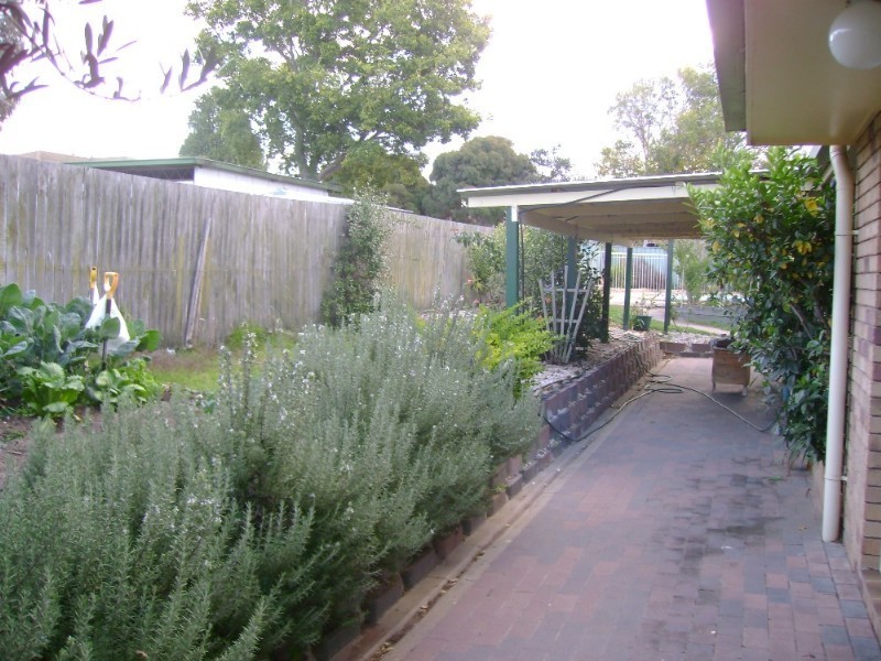 Warwick QLD 4370