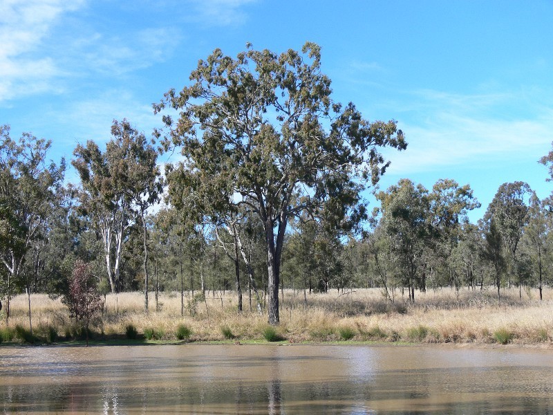Lot 200 Mullins Road, Warwick QLD 4370