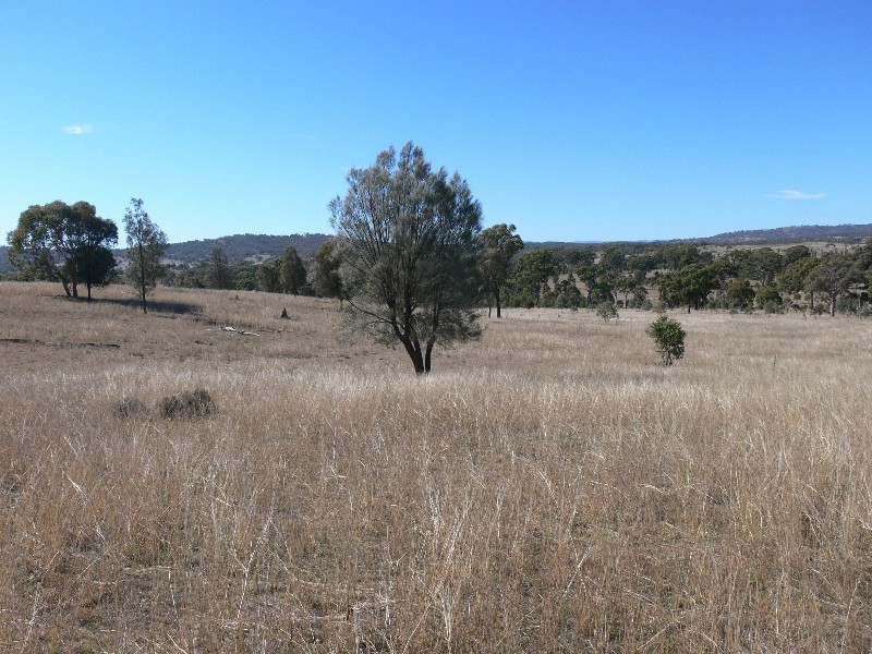 Lot 2 Glenvale Road, Warwick QLD 4370