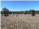 Lot 2 Glenvale Road, Warwick QLD 4370