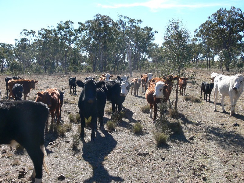 Lot 2 Glenvale Road, Warwick QLD 4370