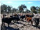 Lot 2 Glenvale Road, Warwick QLD 4370