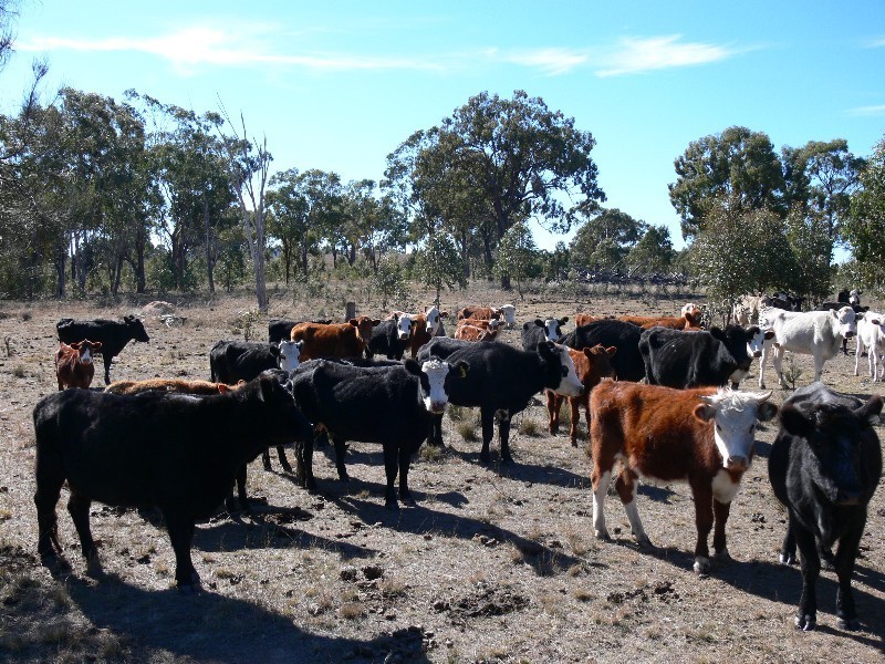 Lot 2 Glenvale Road, Warwick QLD 4370
