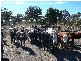 Lot 2 Glenvale Road, Warwick QLD 4370