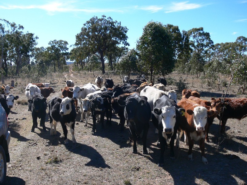Lot 2 Glenvale Road, Warwick QLD 4370