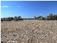 Lot 2 Glenvale Road, Warwick QLD 4370