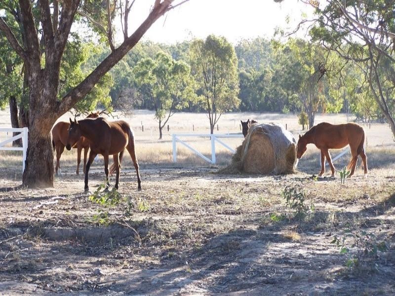 324 Leyburn-Forestry Road, Leyburn QLD 4365