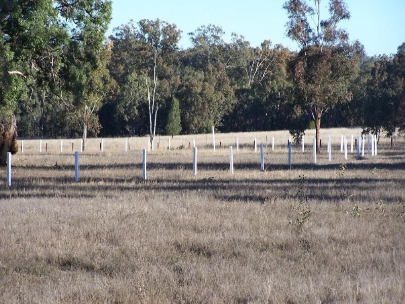 324 Leyburn-Forestry Road, Leyburn QLD 4365