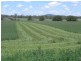 74 Craikes Road, Elbow Valley QLD 4370