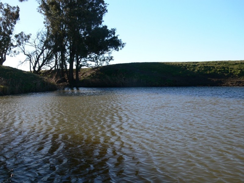74 Craikes Road, Elbow Valley QLD 4370