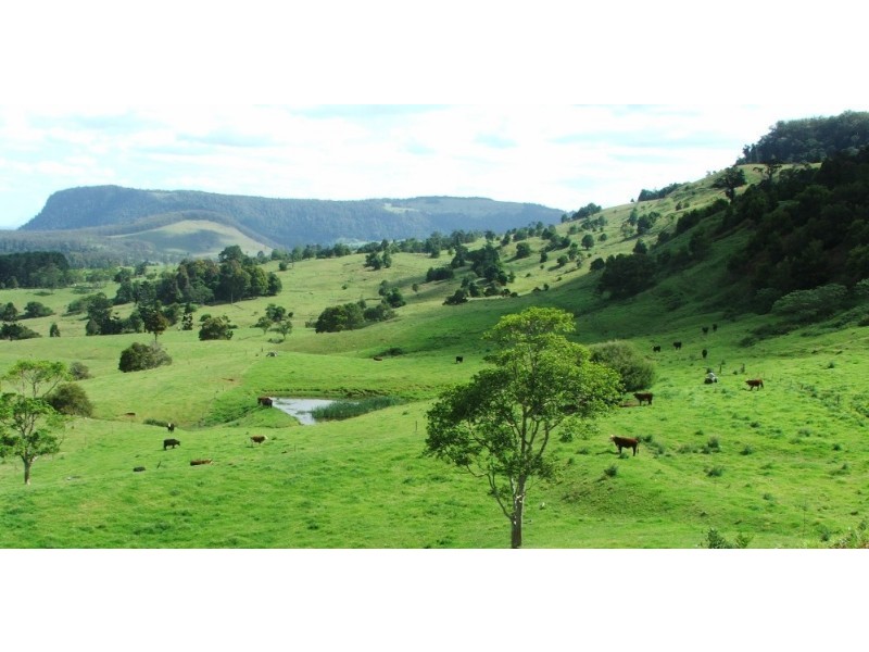 2673 Spring Creek Road, Killarney QLD 4373