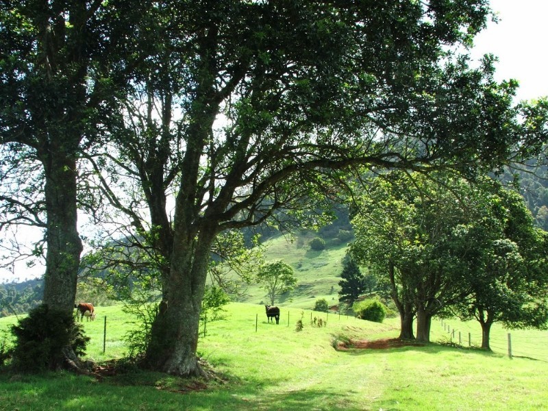 2673a Spring Creek Road, Killarney QLD 4373